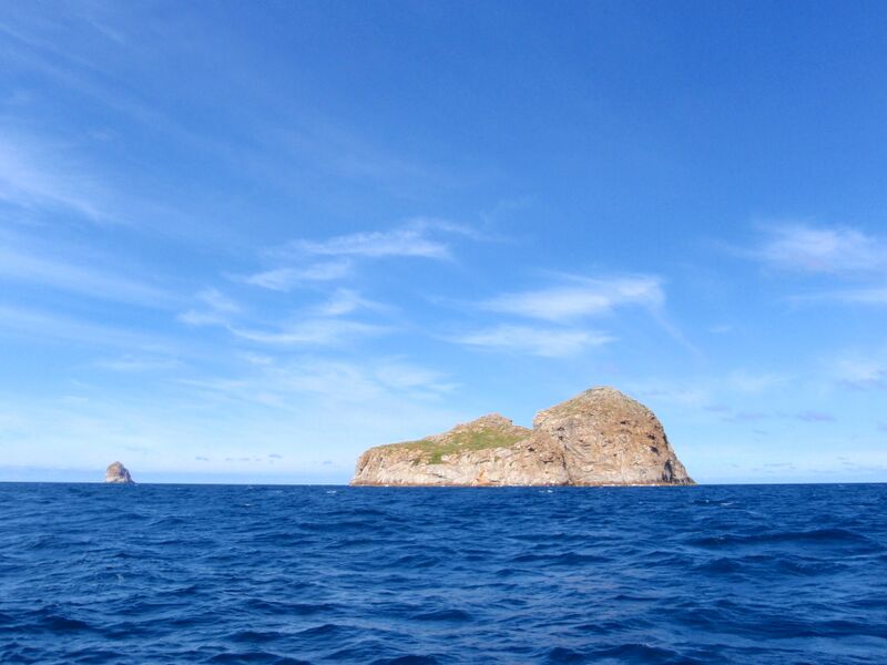 Файл:Curtis cone isle1.JPG