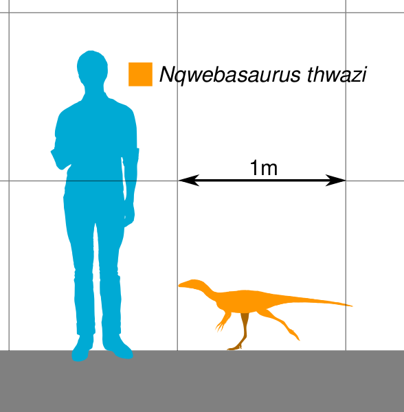 Файл:Nqwebasaurus Scale.svg