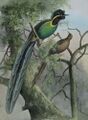 Миниатюра для версии от 09:46, 26 октября 2023