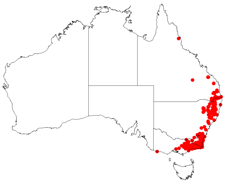 Файл:Hakea erianthaDistMap46.png
