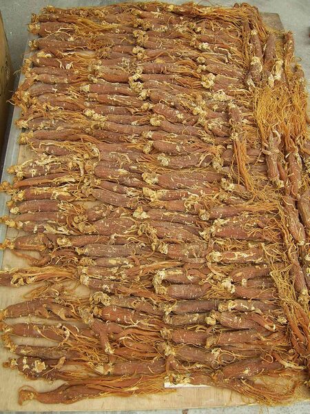 Файл:Red ginseng.JPG