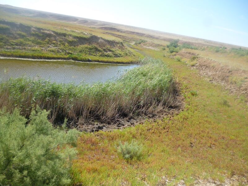 Файл:Yaskul River 3.JPG