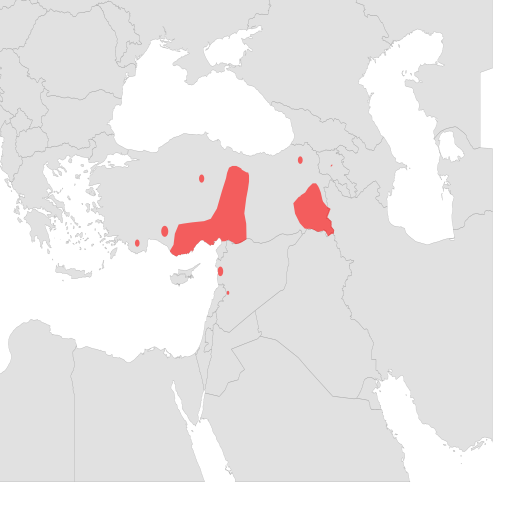 Файл:Ablepharus chernovi range map.svg