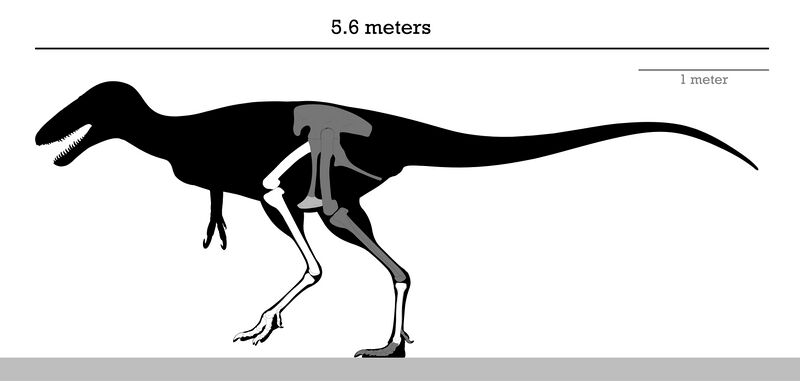 Файл:Alectrosaurus Skeleton Reconstruction.jpg