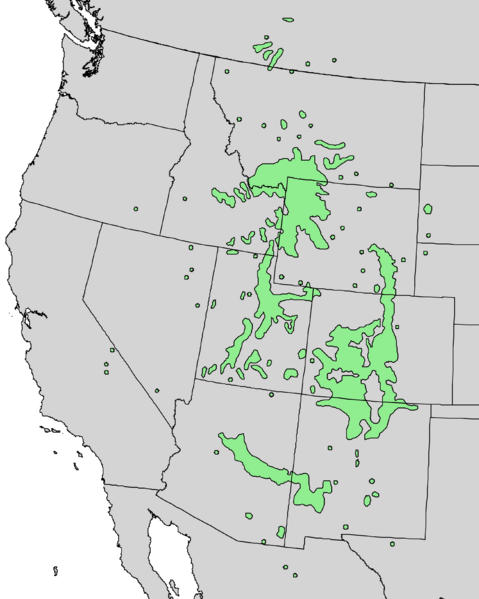 Файл:Populus angustifolia range map 3.png