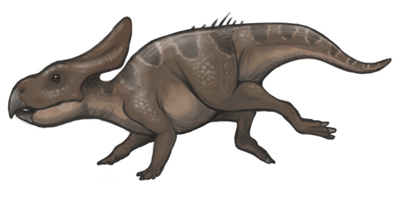 Файл:Protoceratops reconstruction.png