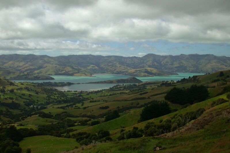 Файл:Akaroa-ViewOfHarbour.jpg