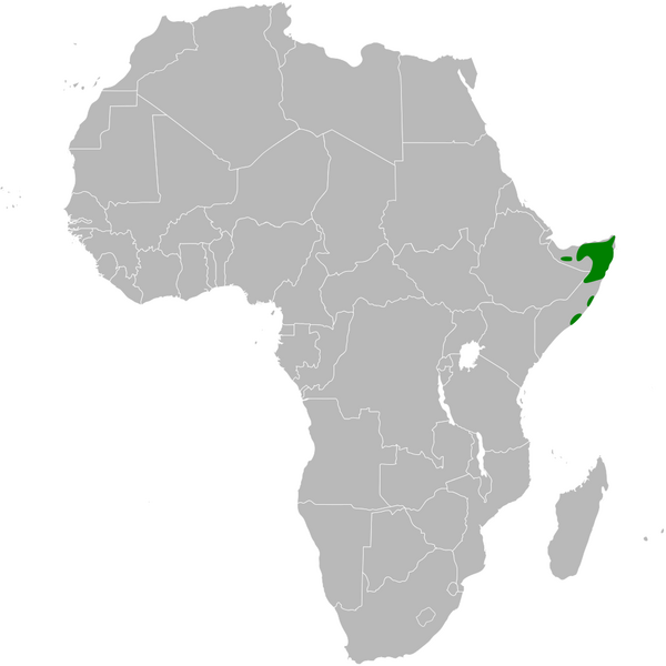 Файл:Alaemon hamertoni distribution map.png