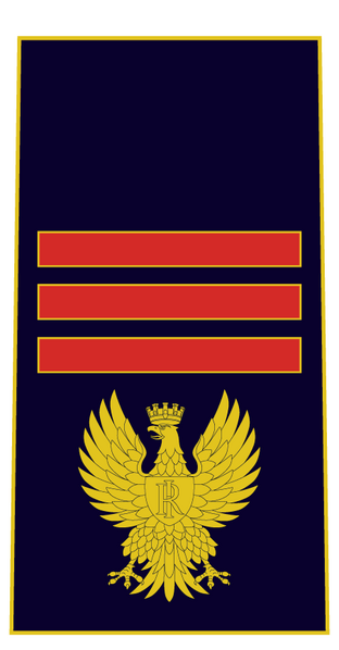 Файл:Assistente capo ps.png