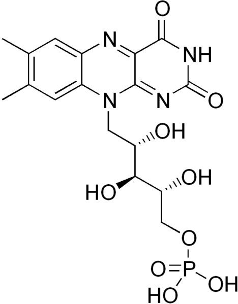 Файл:Flavin mononucleotide.png