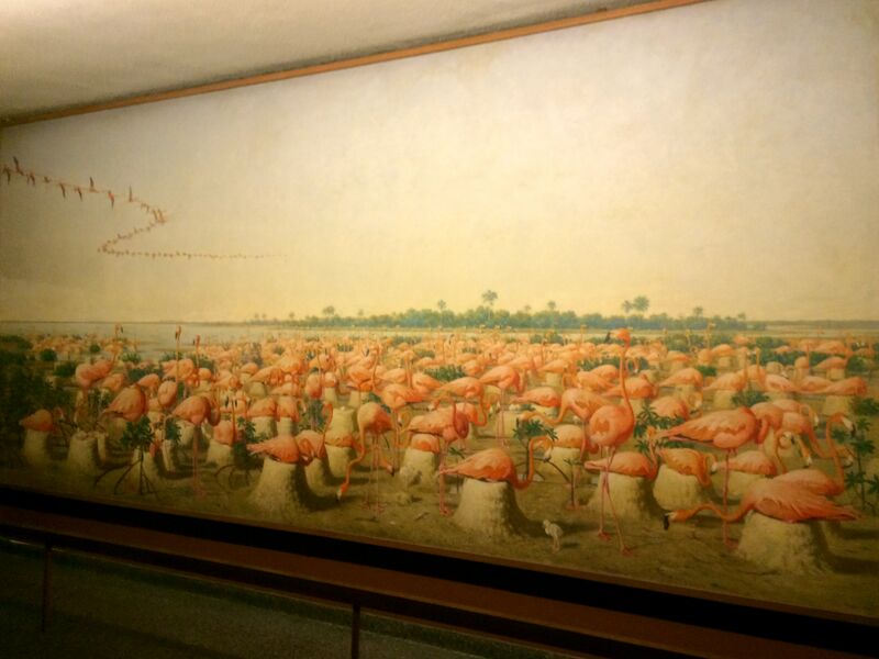 Файл:Fuertes Flamingo Mural.JPG