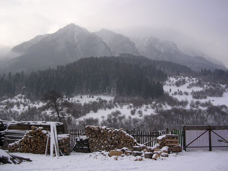 Файл:Zarnesti.JPG