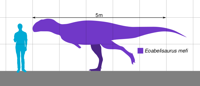 Файл:Eoabelisaurus Scale.svg