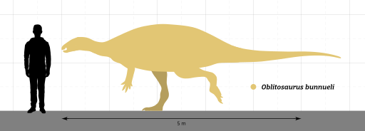 Файл:Oblitosaurus Size Comparison.svg