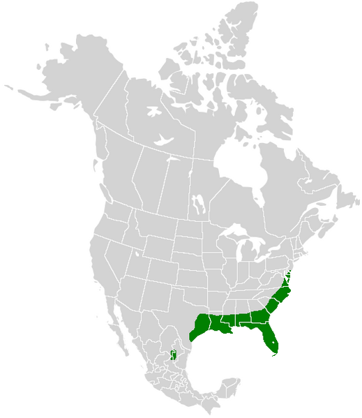 Файл:Papilio palamedes range map.PNG