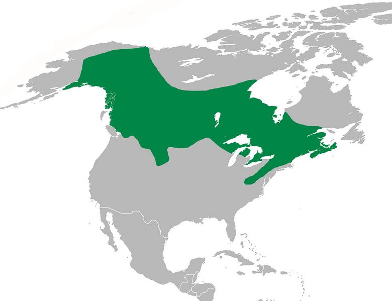 Файл:PcanadensisMap.jpg