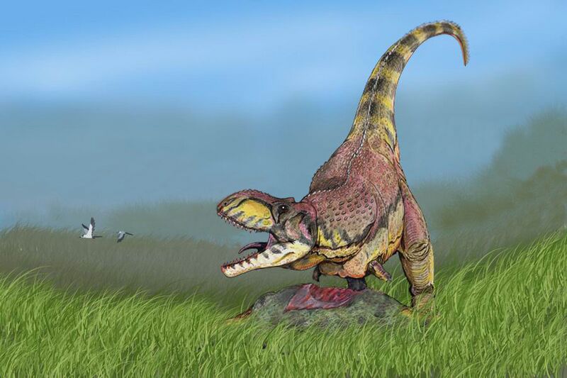 Файл:Rajasaurus narmadensis DB.jpg