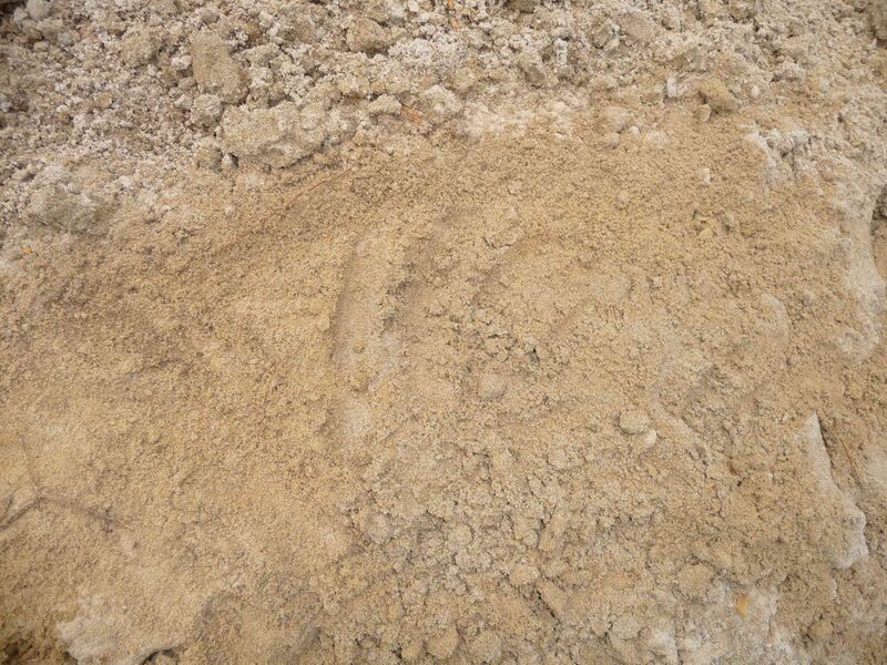 Файл:Sandy loam 2.JPG