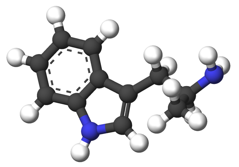 Файл:Alpha-Methyltryptamine-3d-sticks.png