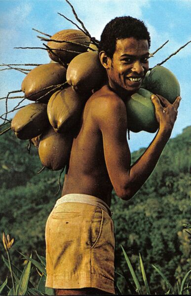 Файл:Boy with coconuts Seychelles.jpg