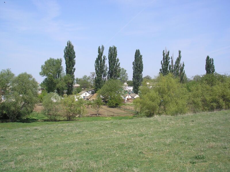 Файл:Kochergino 8.JPG