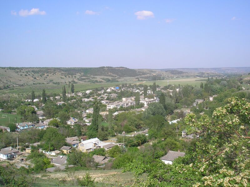 Файл:Tenistoe 3.JPG