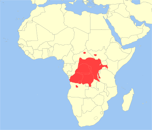 Файл:Cercopithecus ascanius distribution.svg