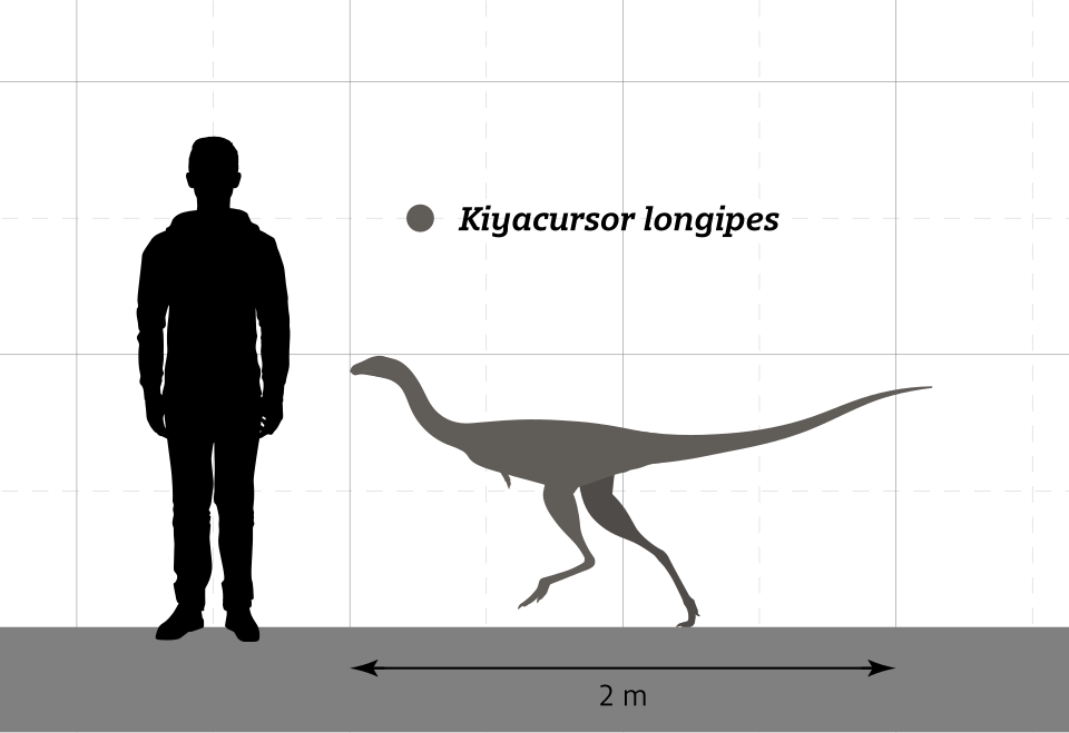 Файл:Kiyacursor Size Comparison.svg