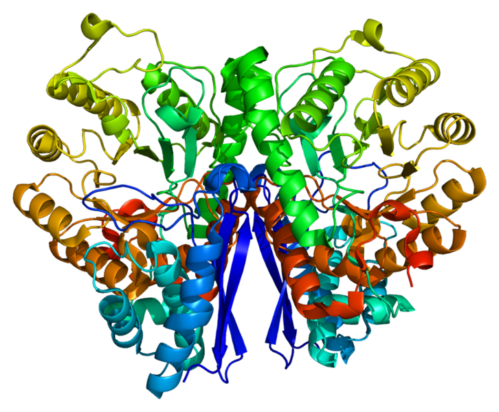 Файл:Protein ENO2 PDB 1te6.png