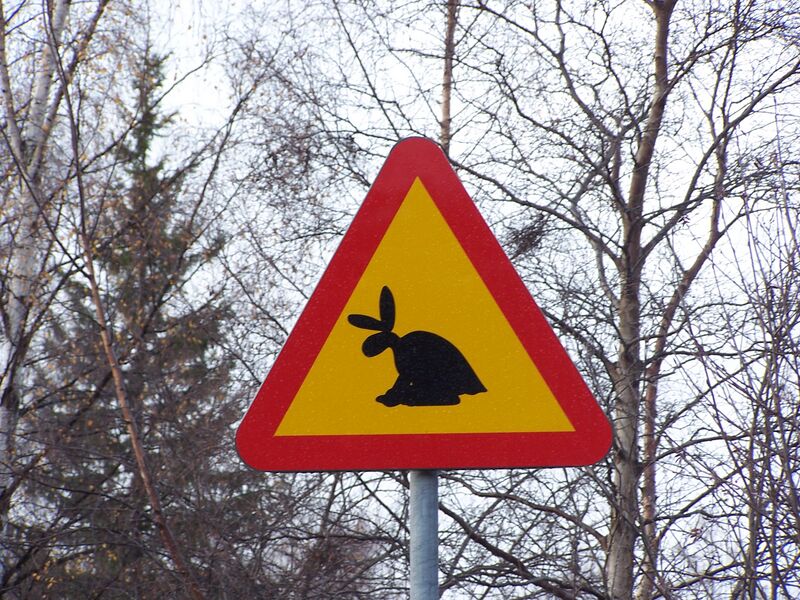Файл:Skvader sign.jpg