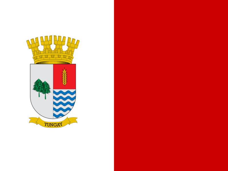 Файл:Bandera Yungay Chile.png