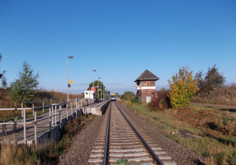 Файл:DomnitzHp.JPG