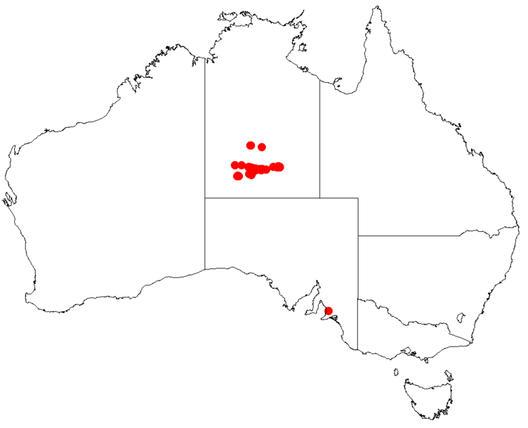 Файл:Hakea grammatophyllaDistMap58.png