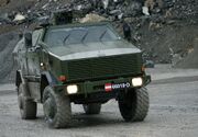 Австрийский Dingo 2