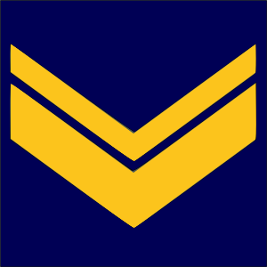 Файл:Airforce-ALB-OR-8.svg
