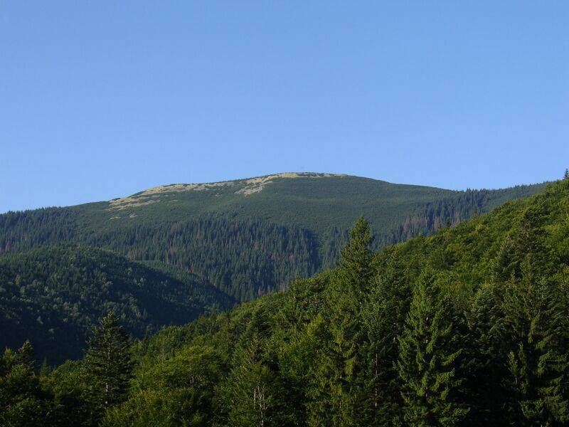 Файл:Arshicya 02.JPG