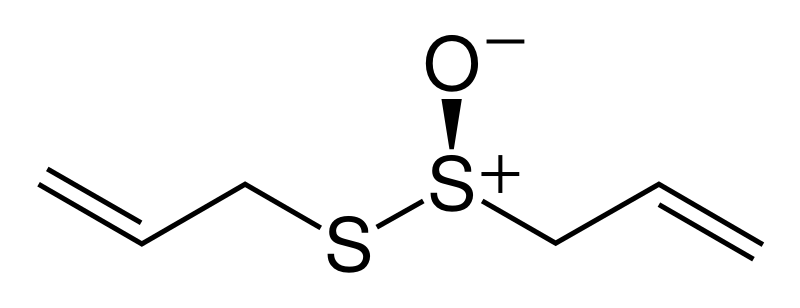 Файл:R-allicin-2D-skeletal.svg