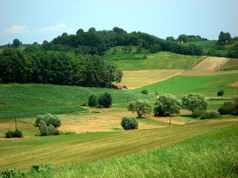 Файл:Fields hr 1.JPG