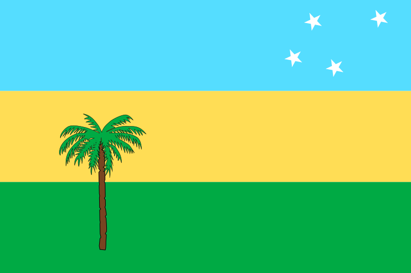 Файл:Flag of Concón, Chile.svg