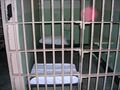 Миниатюра для версии от 06:05, 10 августа 2023