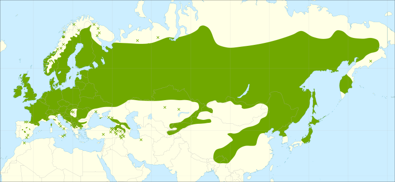 Файл:Betula pendula range.svg