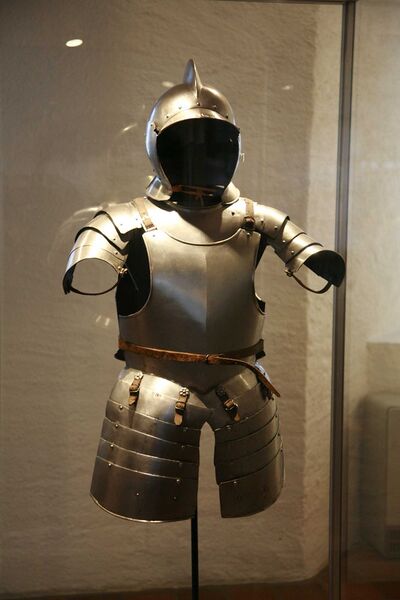 Файл:Demi-armure MG 0793.JPG