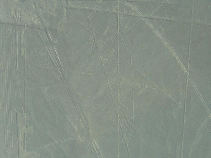 Файл:Nasca Condor 2007 08.JPG