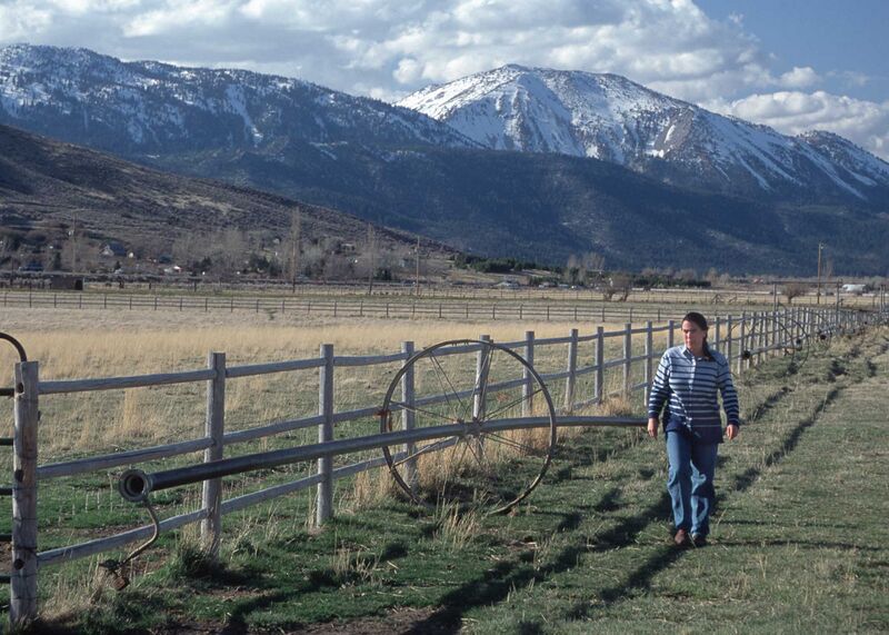 Файл:Washoe County.jpg
