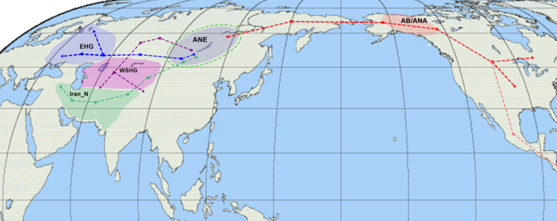 Файл:ANE network.png