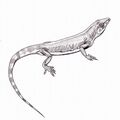 Archaeovenator hamiltonensis