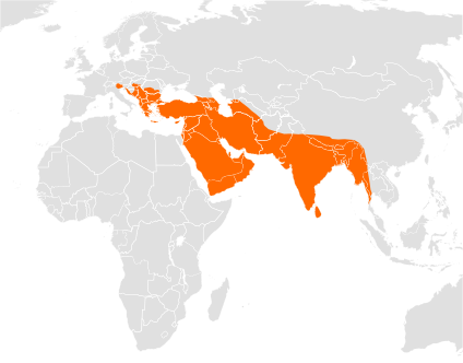 Файл:Canis aureus range.svg