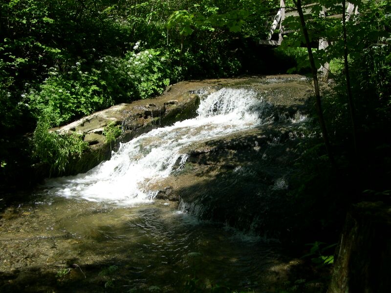 Файл:Flon chute.JPG