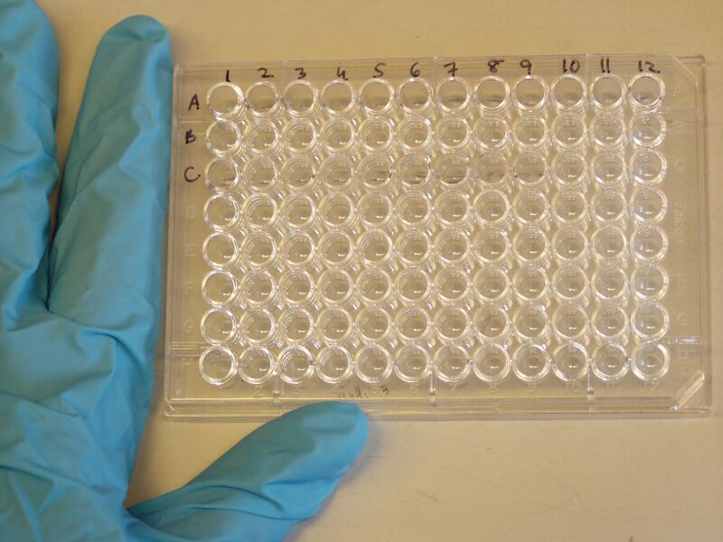 Файл:Microtiter plate.JPG