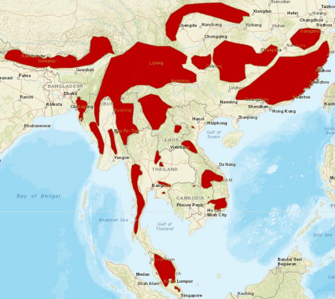 Файл:Clouded-leopard distribution.jpg